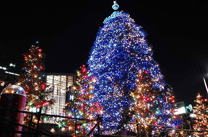 圣誕節要裝飾圣誕樹的原因