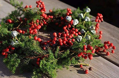 6種圣誕花環(huán)的制作形式